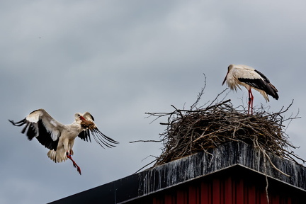 102894622 3449980098367661 2224514321773813636 o