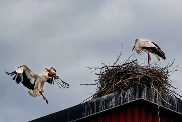 102894622_3449980098367661_2224514321773813636_o