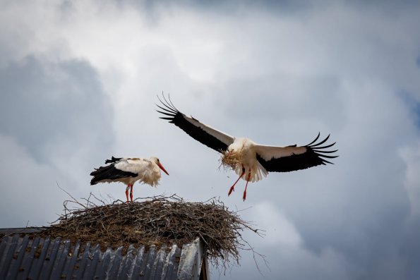 103250156_3449979998367671_4991781132217101740_o