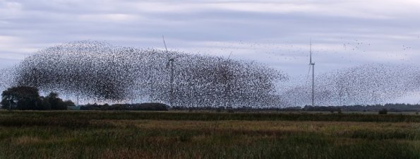 69979378_10220135982927620_1915010760623259648_n